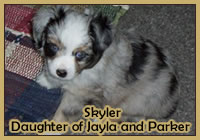 Skyler