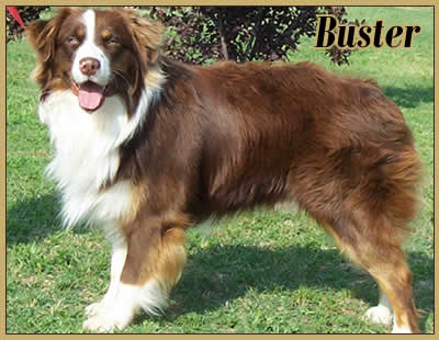 Buster